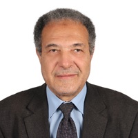 Ahmed G Hegazi