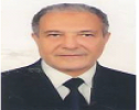 Prof. Dr. Ahmed G. Hegazi