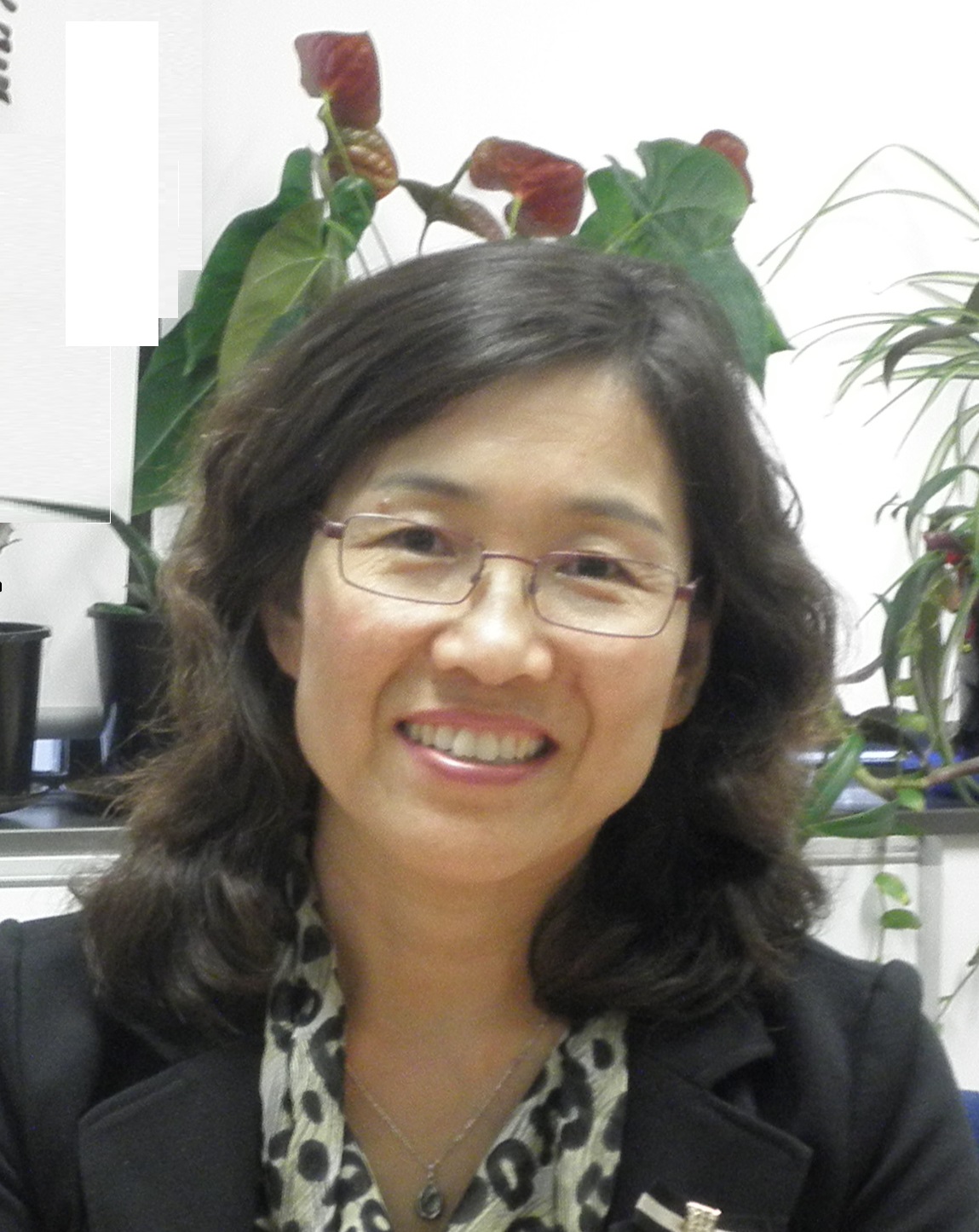 Zimei Wu