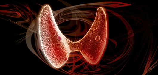 Endocrine Oncology
