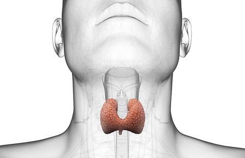 Adrenal and Thyroid Disorders
