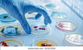 Pharmaceutical Microbiology & Biotechnology