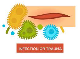 Wound Infection and Dermatology