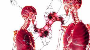 Cardiovascular progenitor cells (CPCs)