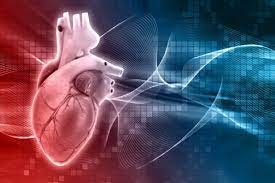 Molecular and Cellular Cardiology