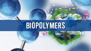 Biopolymers