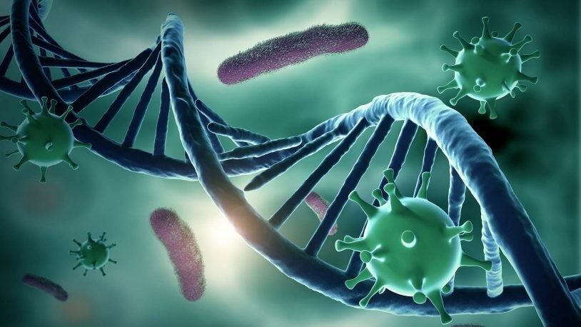 Cancer Genetics and Genomics